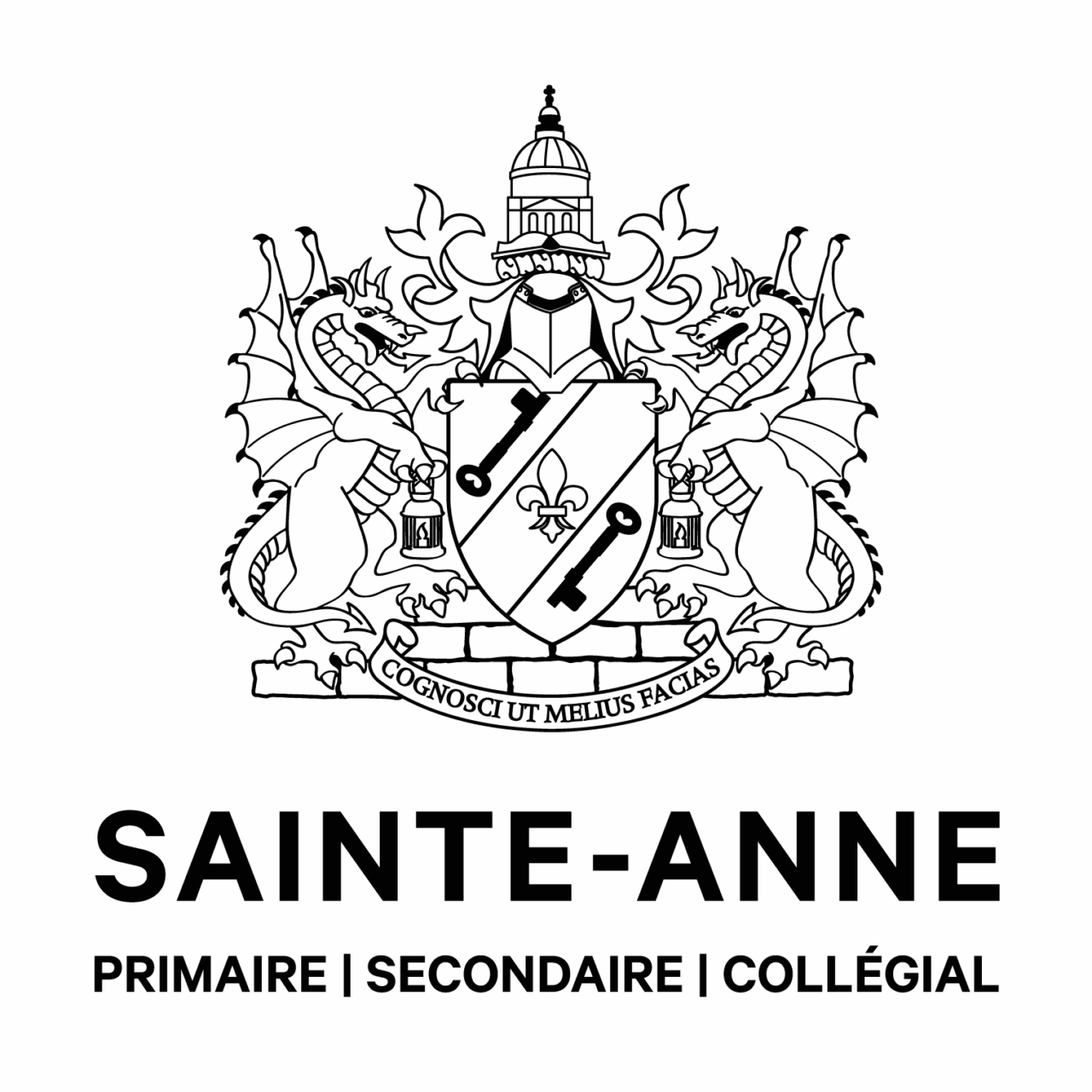 Collège Sainte-Anne logo
